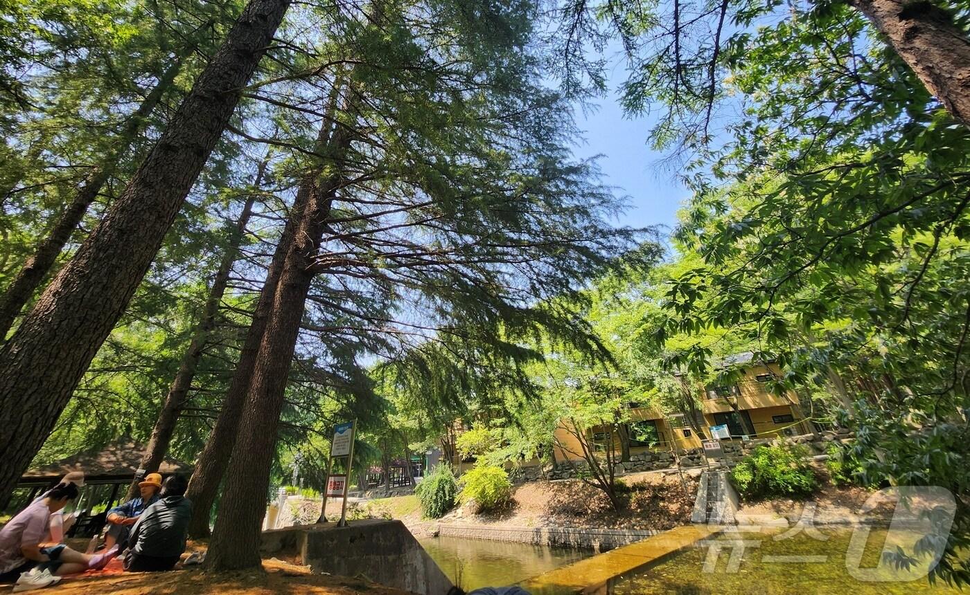 연일 무더운 날씨가 이어지고 있는 18일 전북 완주군 고산자연휴양림을 찾은 피서객들이 나무그늘 아래애서 더위를 식히고 있다. ⓒ News1 유경석 기자