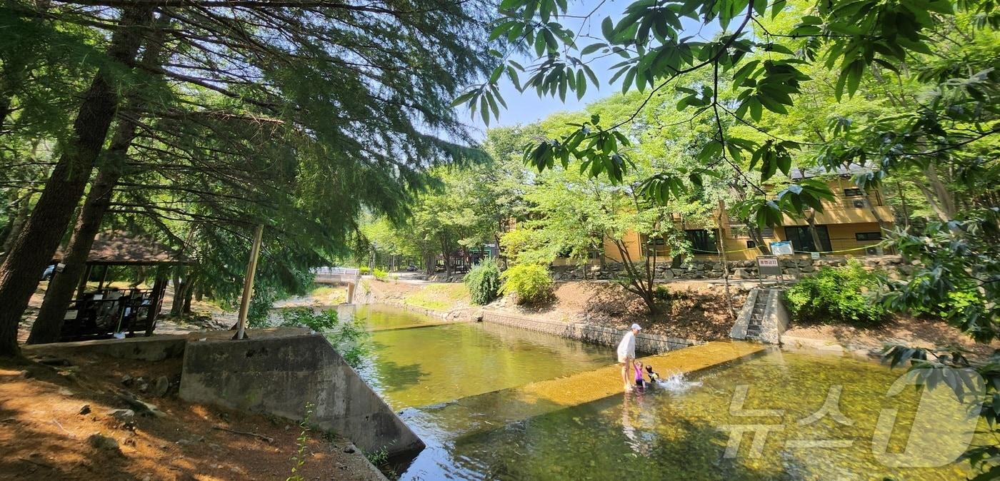 연일 무더운 날씨가 이어지고 있는 지난 18일 전북 완주군 고산자연휴양림을 찾은 피서객들이 나무그늘 아래애서 더위를 식히고 있다. 2025.6.18/뉴스1 ⓒ News1 유경석 기자