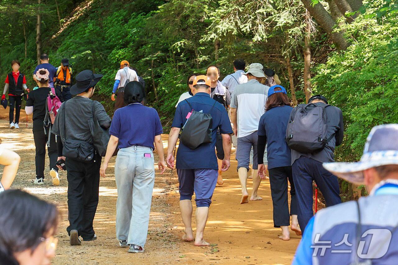본문 이미지 - 계족산 힐링 맨발걷기대회 모습.(대덕구 제공 ,재판매 및 DB 금지)/뉴스1