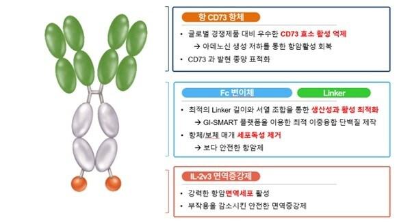 본문 이미지 - GI-108 단백질 구조 그림. &#40;지아이이노베이션 제공&#41;