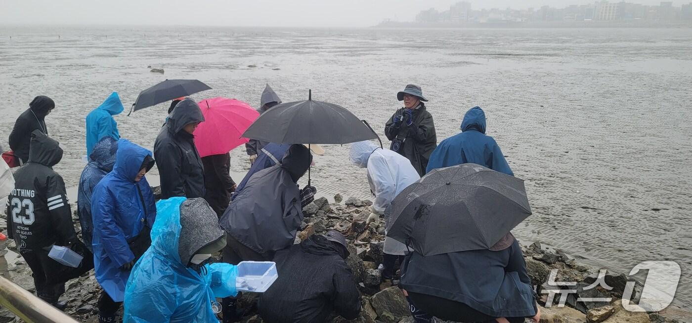 갯벌생태해설사 교육과정 중 현장실습(해양수산부 제공)