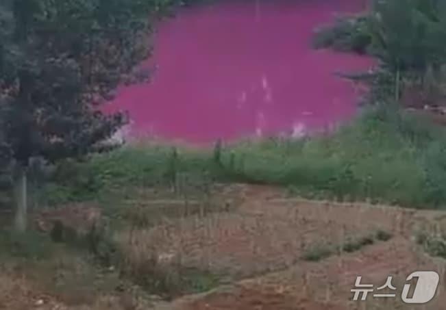 본문 이미지 - (SNS 갈무리)