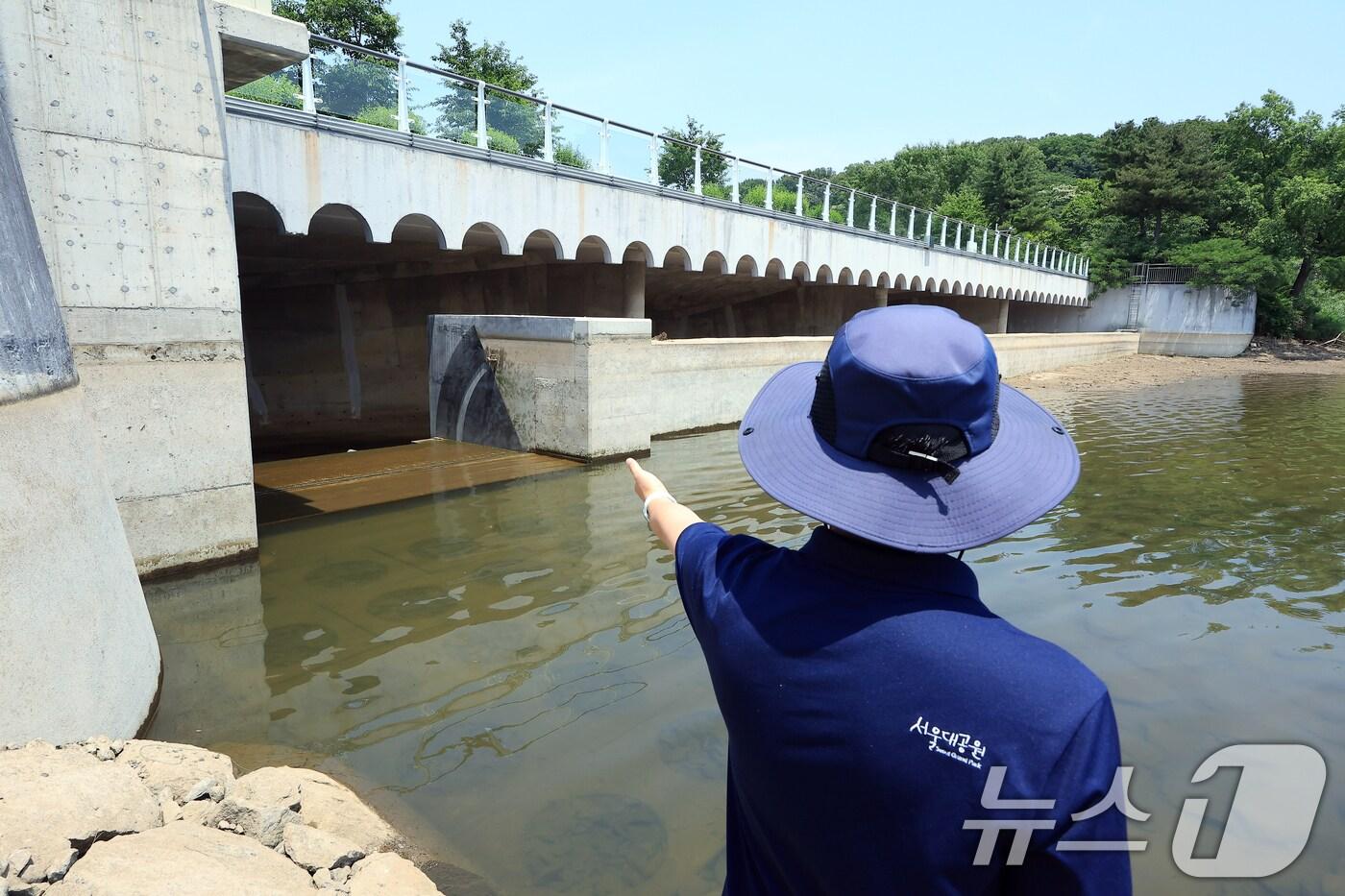 저수지 자료사진./뉴스1