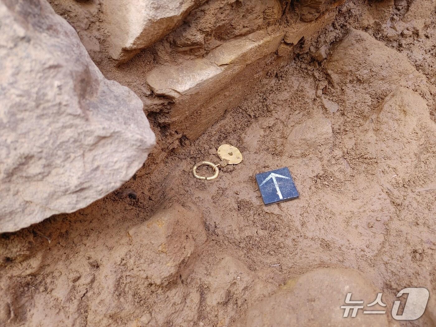 본문 이미지 - 대구 북구 구암동 고분군 제101호분에서 출토된 금동제 귀걸이(대구 북구 제공.재판매 및 DB 금지)