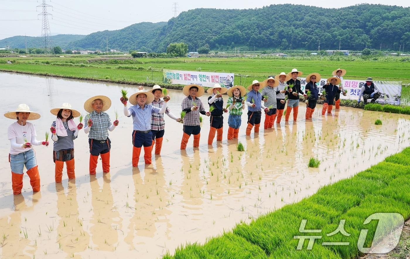 최기문 영천시장이 19일 농민회 회원들과 함게 전통 손 모내기 방식으로 통일쌀 모를 심으며 풍년을 기원하고 있다.(영천시 제공. 재판매 및 DB금지) 2025.6.19/뉴스1 ⓒ News1 정우용 기자