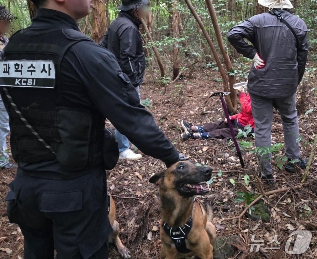 본문 이미지 - 19일 오전 8시50분쯤 서귀포시 색달동 다래마을 남쪽 곶자왈에서 실종자 80대 노인이 발견됐다.(제주경찰청 제공. 재판매 및 DB 금지)