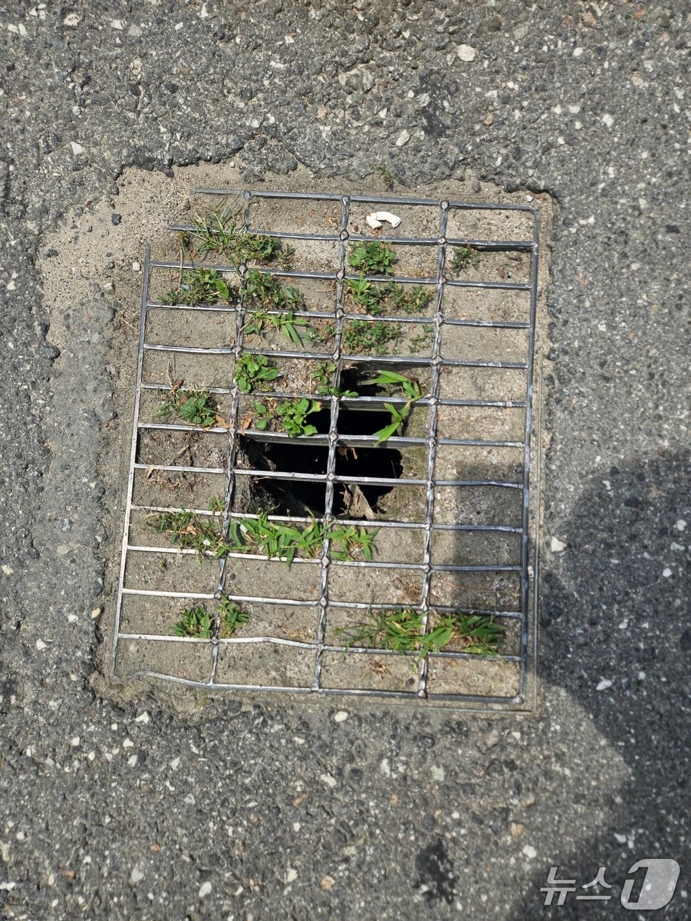 본문 이미지 - 19일 오전 강원 춘천 근화동의 한 배수구가 모래로 막혀 있었다.2025.6.19 한귀섭 기자 