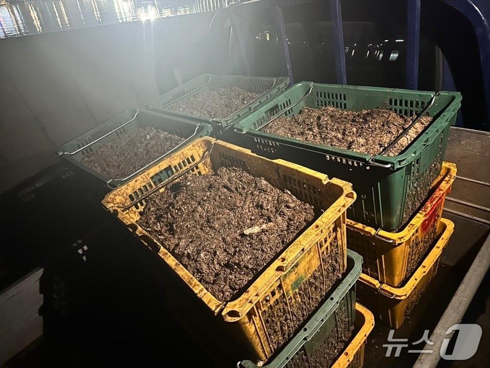 본문 이미지 - 군산 비응항 바다에 무단 투기된 멸치젓 찌꺼기.&#40;군산해경 제공. 재판매 및 DB금지&#41;