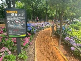 본문 이미지 - (강북구 제공)