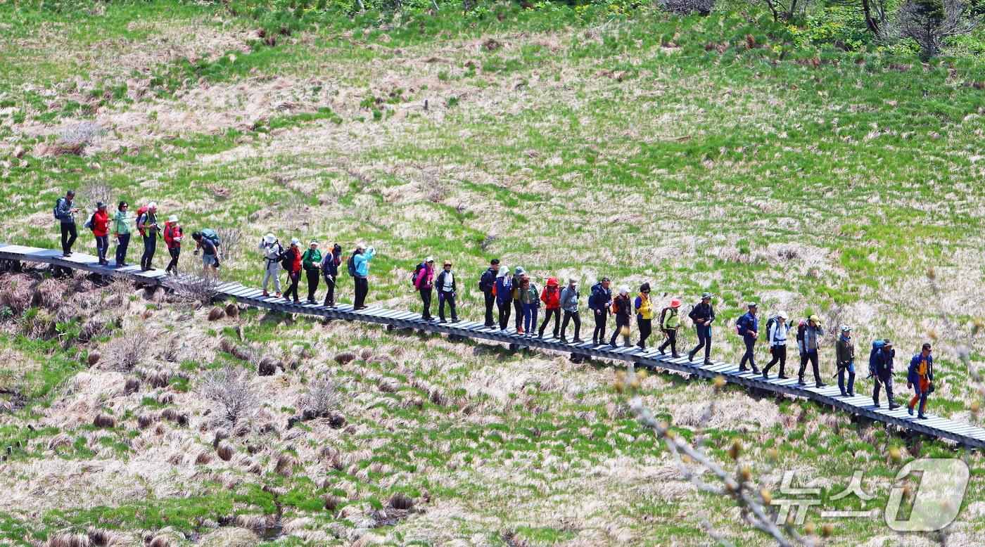 인제 대암산 용늪.&#40;인제군 제공. 재판매 및 DB금지&#41;/뉴스1