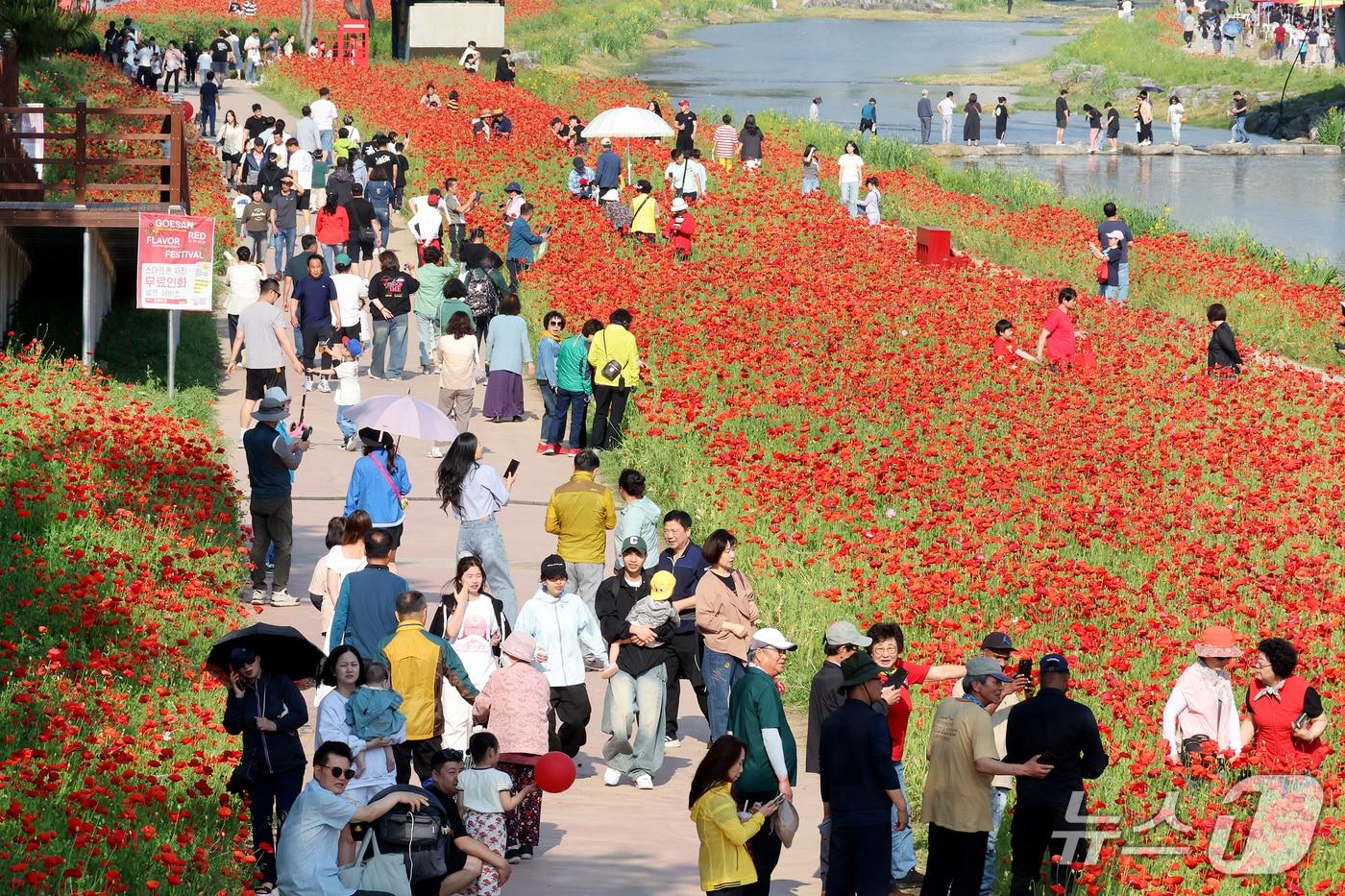 충북 괴산군은 &#39;천만송이 빨간꽃이 피었습니다&#39;를 주제로 지난달 연 &#39;2025 괴산빨간맛페스티벌&#39;의 직접경제효과가 47억 7000만 원으로 집계됐다.사진은 축제 모습.&#40;괴산군 제공, 재판매 및 DB금지&#41;/뉴스1