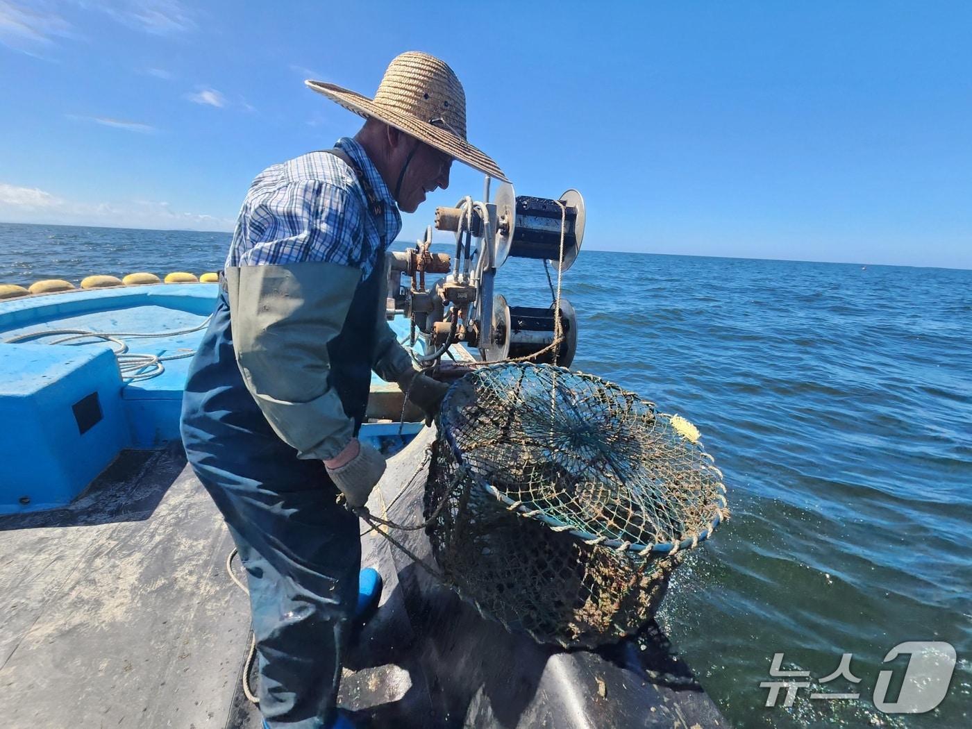 본문 이미지 - 군산시가 갑오진어 산란·서식장 조성 2년차 사업을 본격화 한다.&#40;군산시 제공, 재판매 및 DB금지&#41;