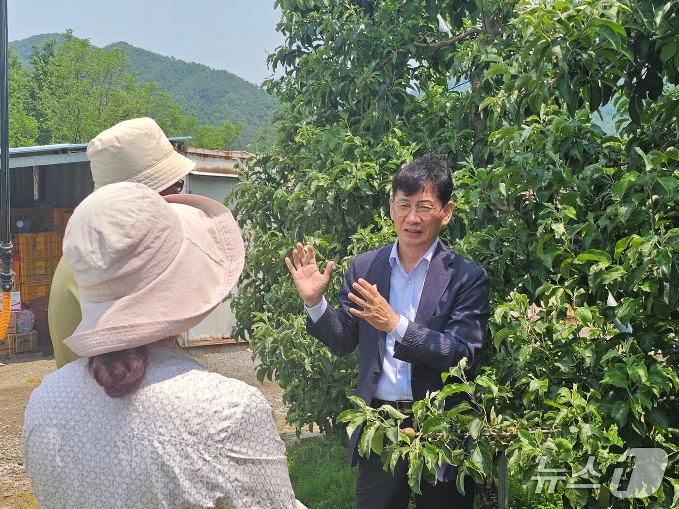 본문 이미지 - 최훈식 장수군수는 지난달 29일 장계면, 계남면 일대 과수농가를 찾아 피해 상황을 점검하고 농가를 위로했다.&#40;장수군 제공. 재판매 및 DB금지&#41;2025.6.2/뉴스1