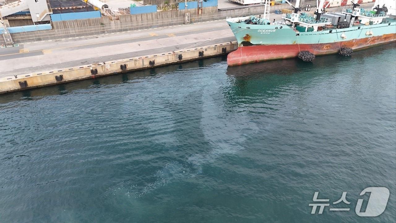 본문 이미지 - 5월 31일 오후 부산 감천항 인근 해상에서 바누아투 국적 500t급 원양어선에서 연료유 약 5ℓ가 흘러나오고 있다.&#40;부산해경 제공. 재판매 및 DB 금지&#41;