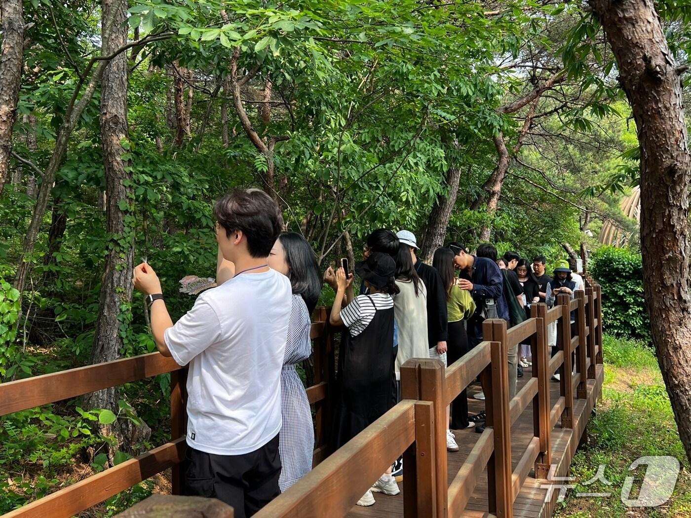 본문 이미지 - 국립대전숲체원에서 임신부부가 숲태교 프로그램에 참여하고 있다. (산림청 한국산림복지진흥원 국립대전숲체원 제공.재판매 및 DB금지)/뉴스1