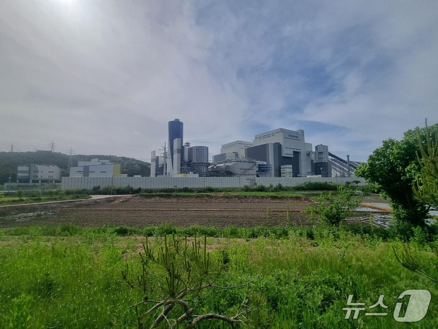 본문 이미지 - 강원 강릉 안인화력발전소.(뉴스1 DB)