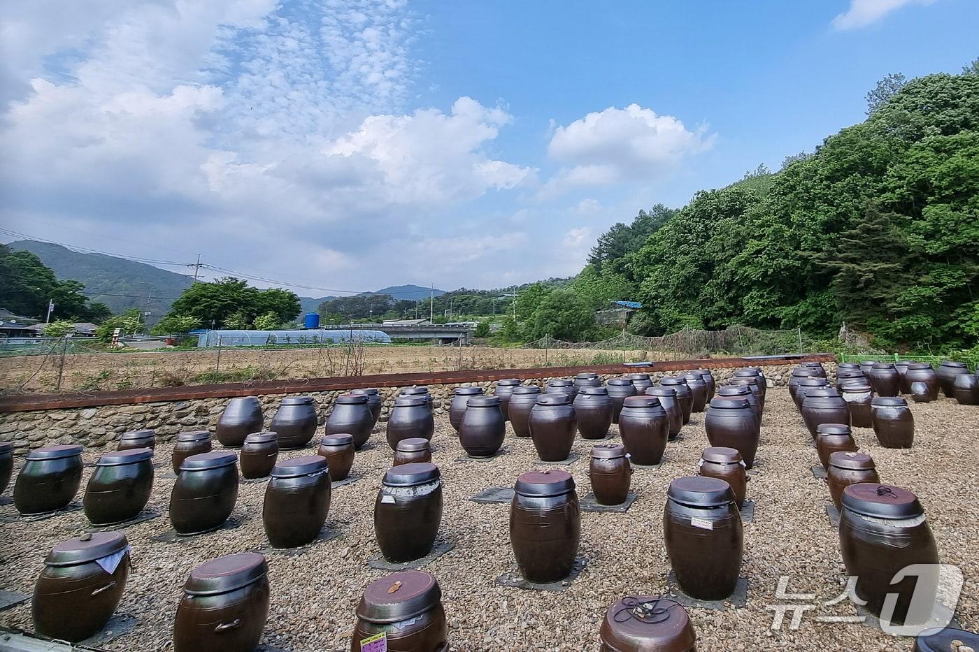 농식품부가 주관하는 '소규모 농촌체험 프로그램 개발사업'에 선정된 무주 진원반딧길 농촌체험휴양마을 모습.(무주군 제공. 재판매 및 DB금지)
