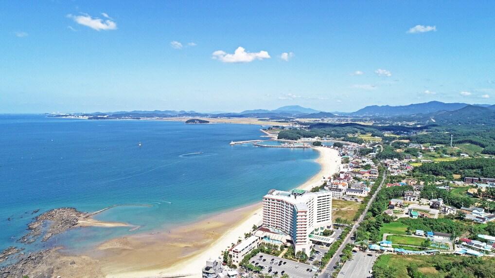 본문 이미지 -  보령 무창포해수욕장(보령시 제공. 재판매 및 DB 금지) /뉴스1