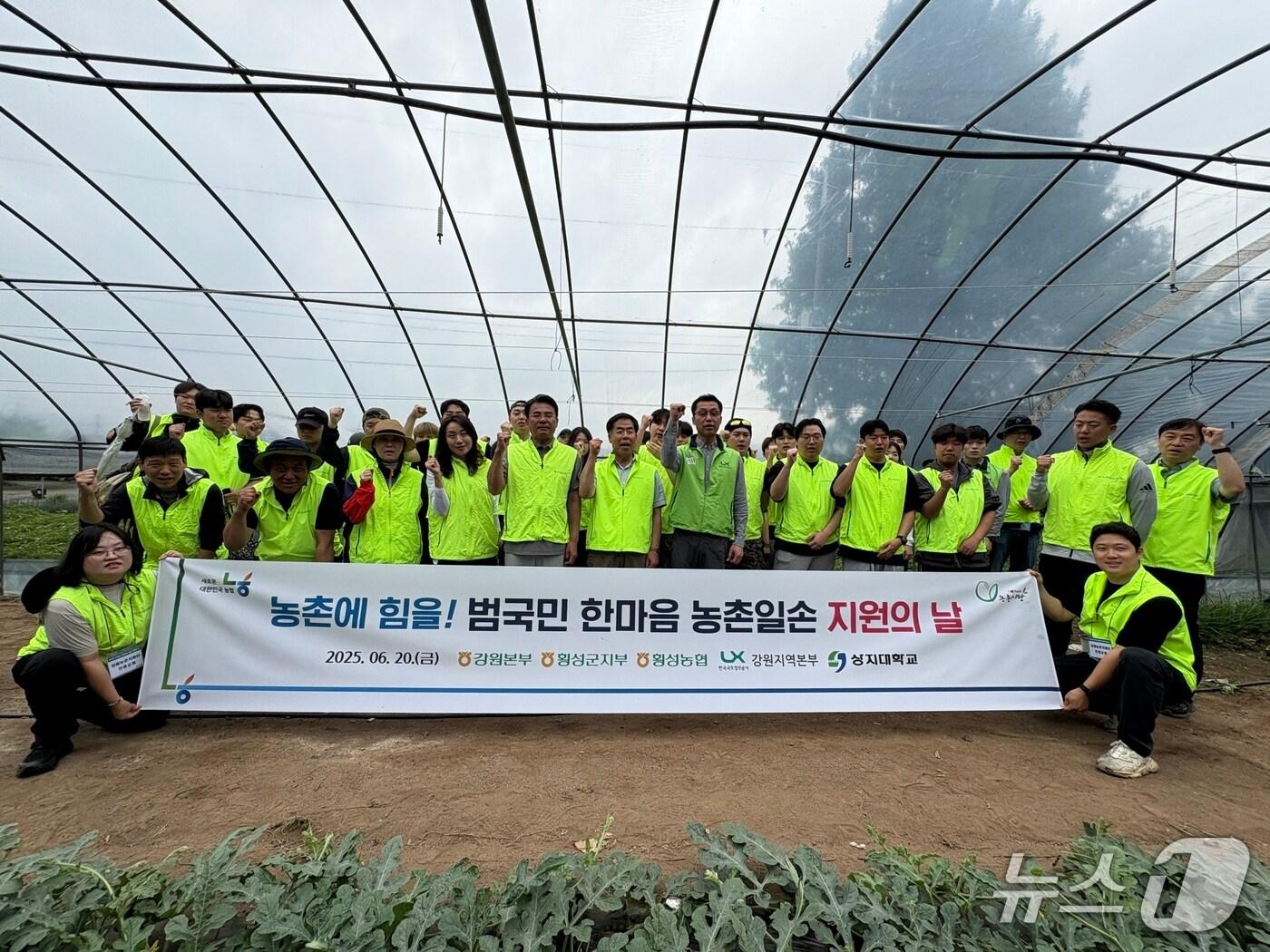 본문 이미지 - 농촌일손돕기.&#40;농협 강원본부 제공. 재판매 및 DB금지&#41;/뉴스1