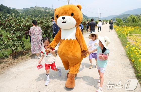 본문 이미지 - 10주간 하루에 1시간씩만 걸어도 체지방률이 1.4% 감소하는 것으로 조사됐다.&#40;자료사진&#41;/뉴스1 