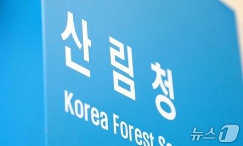 본문 이미지 -  뉴스1