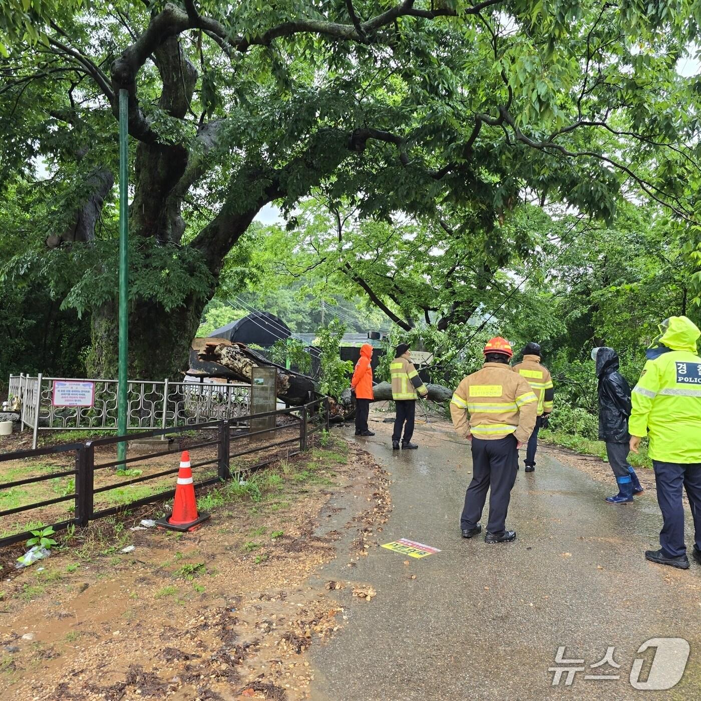 본문 이미지 - 경기북부경찰청 제공. 2025.6.20/뉴스1 ⓒ News1