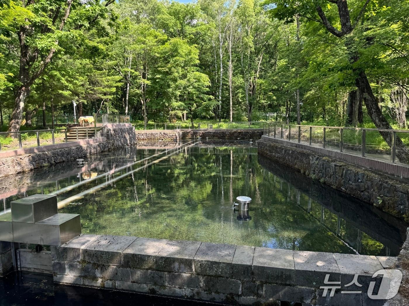 본문 이미지 - 농심 '백산수'의 수원지인 길림성 연변조선족자치주에 위치한 내두천의 모습..뉴스1 ⓒ News1 이강 기자