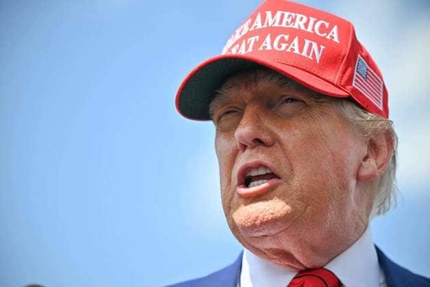 본문 이미지 - 도널드 트럼프 미국 대통령. ⓒ AFP=뉴스1 ⓒ News1