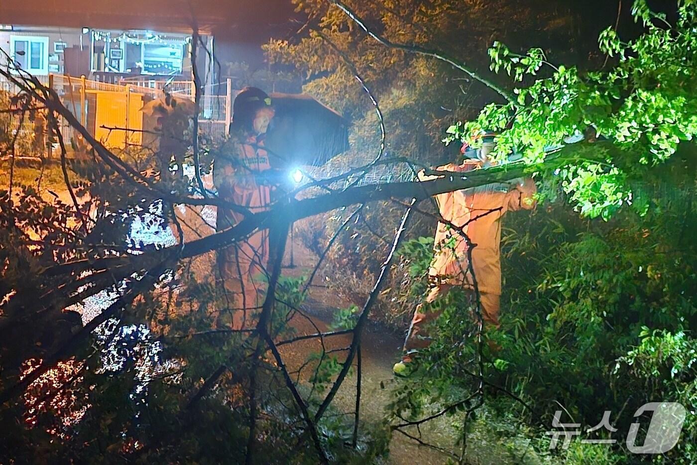  충북에 내려졌던 호우주의보가 모두 해제됐다. 사진은 수목전도 조치.(충북소방본부 제공)/뉴스1