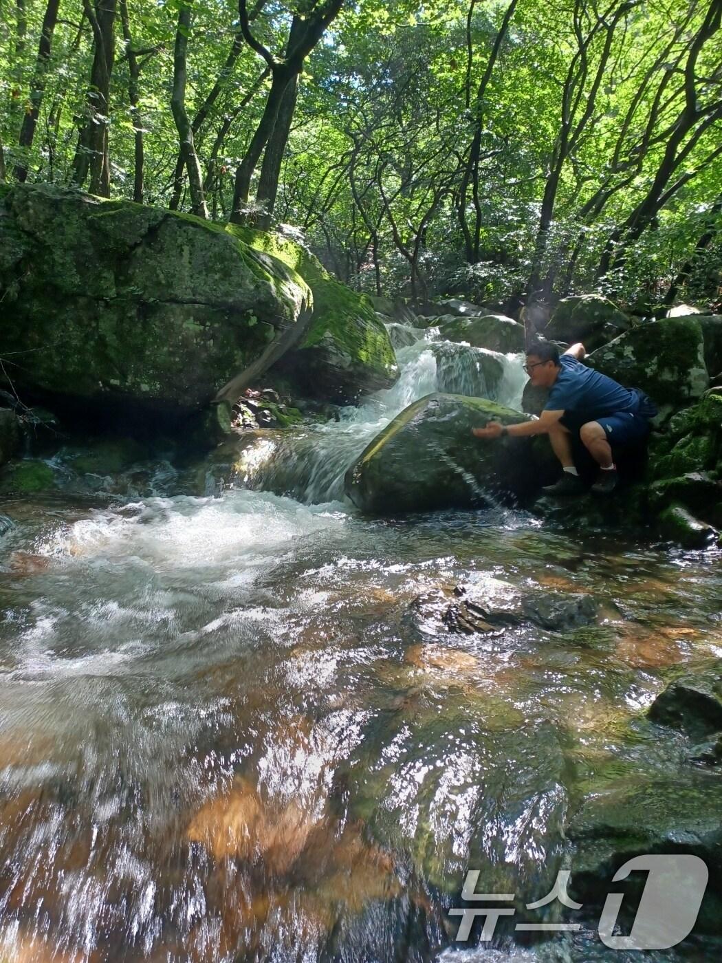 본문 이미지 - 계곡 자료사진. /뉴스1