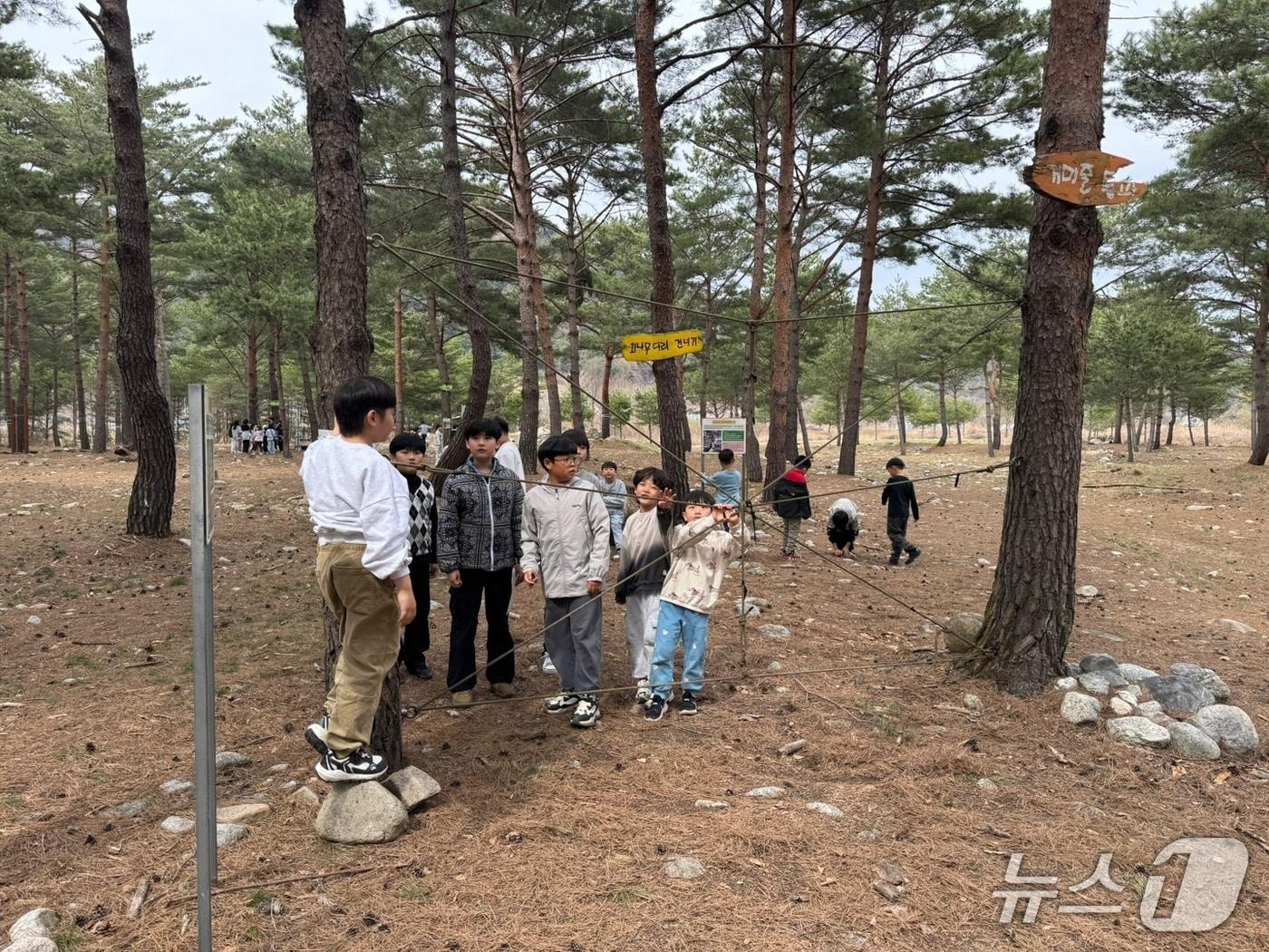 본문 이미지 - 강원 인제 산골 생태유학.&#40;인제군 제공, 재판매 및 DB금지&#41;