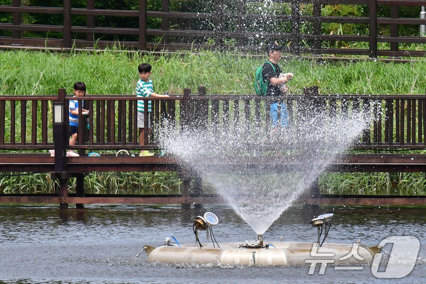 22일 경북 포항시 북구 우창동 마장지에서 어린이들이 분수대에서 뿜어져 나오는 물줄기를 지켜보고 있다. 2025.6.22/뉴스1 ⓒ News1 최창호 기자