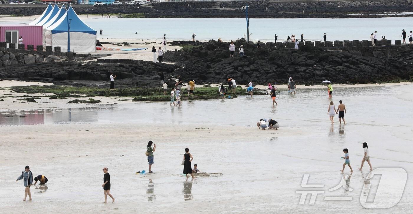 제주시 조천읍 함덕해수욕장에서 22일 도민과 관광객들이 물놀이를 즐기고 있다. 함덕 등 제주도내 해수욕장은 오는 24일 공식 개장한다. 2025.6.22./뉴스1 ⓒ News1 강승남 기자