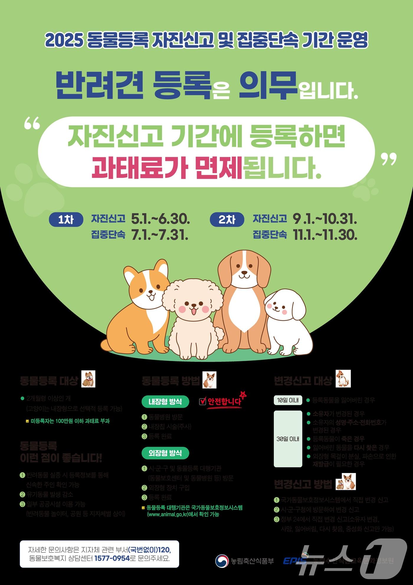 본문 이미지 - 동물등록 자진 신고와 집중 단속 기간 운영 안내.(광주시 제공. 재판매 및 DB 금지) 