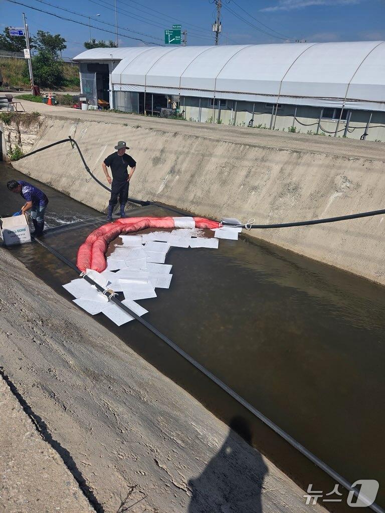 본문 이미지 -  충남 부여군 옥산저수지와 연결된 배수로에 저지선과 흡착포가 설치된 모습(부여군 안전총괄과 제공. 재판매 및 DB 금지) 2025.6.22/뉴스1