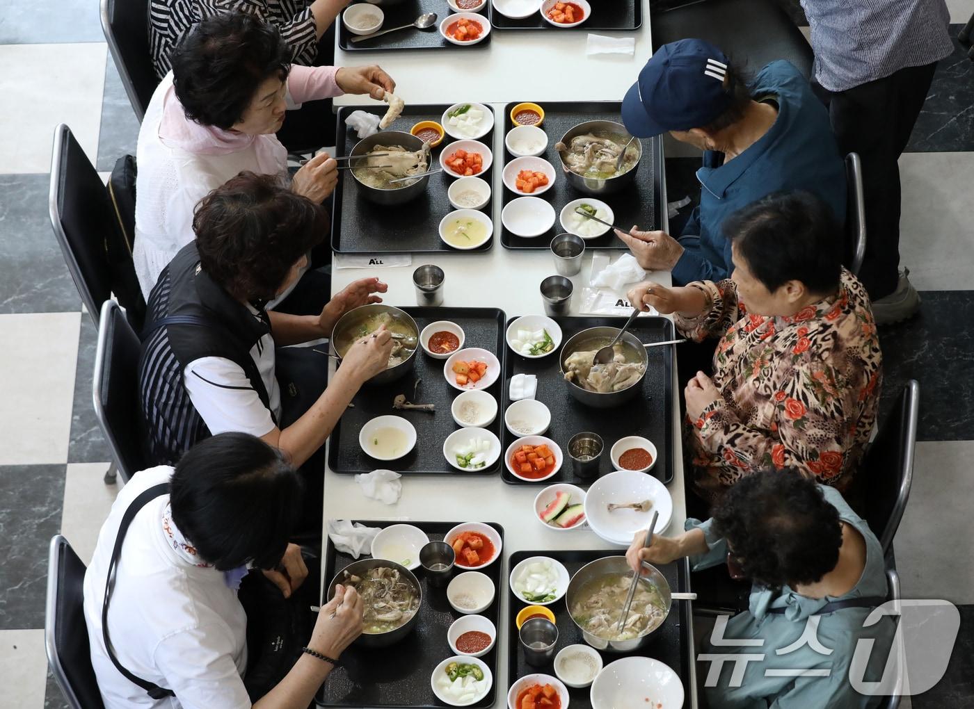 본문 이미지 -  ⓒ News1 윤일지 기자