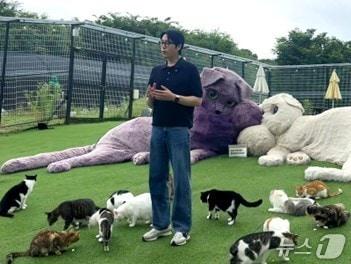 본문 이미지 - 고양이 구충하는 나응식 수의사(한국베링거인겔하임동물약품 제공) ⓒ 뉴스1