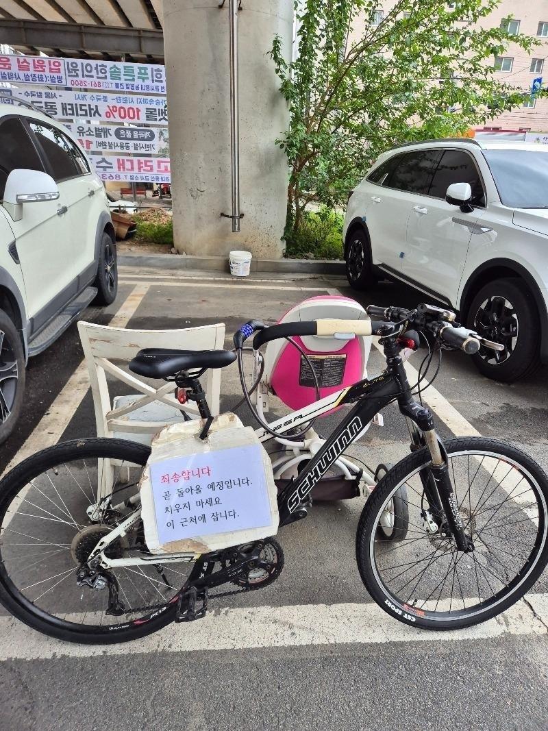 본문 이미지 - (보배드림 갈무리)