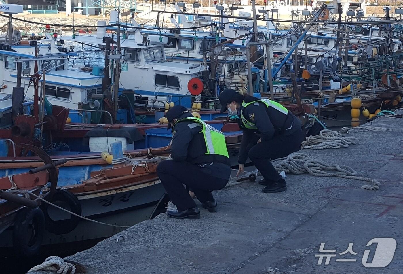 자료사진(해양경찰청 제공. 재판매 및 DB금지) / 뉴스1