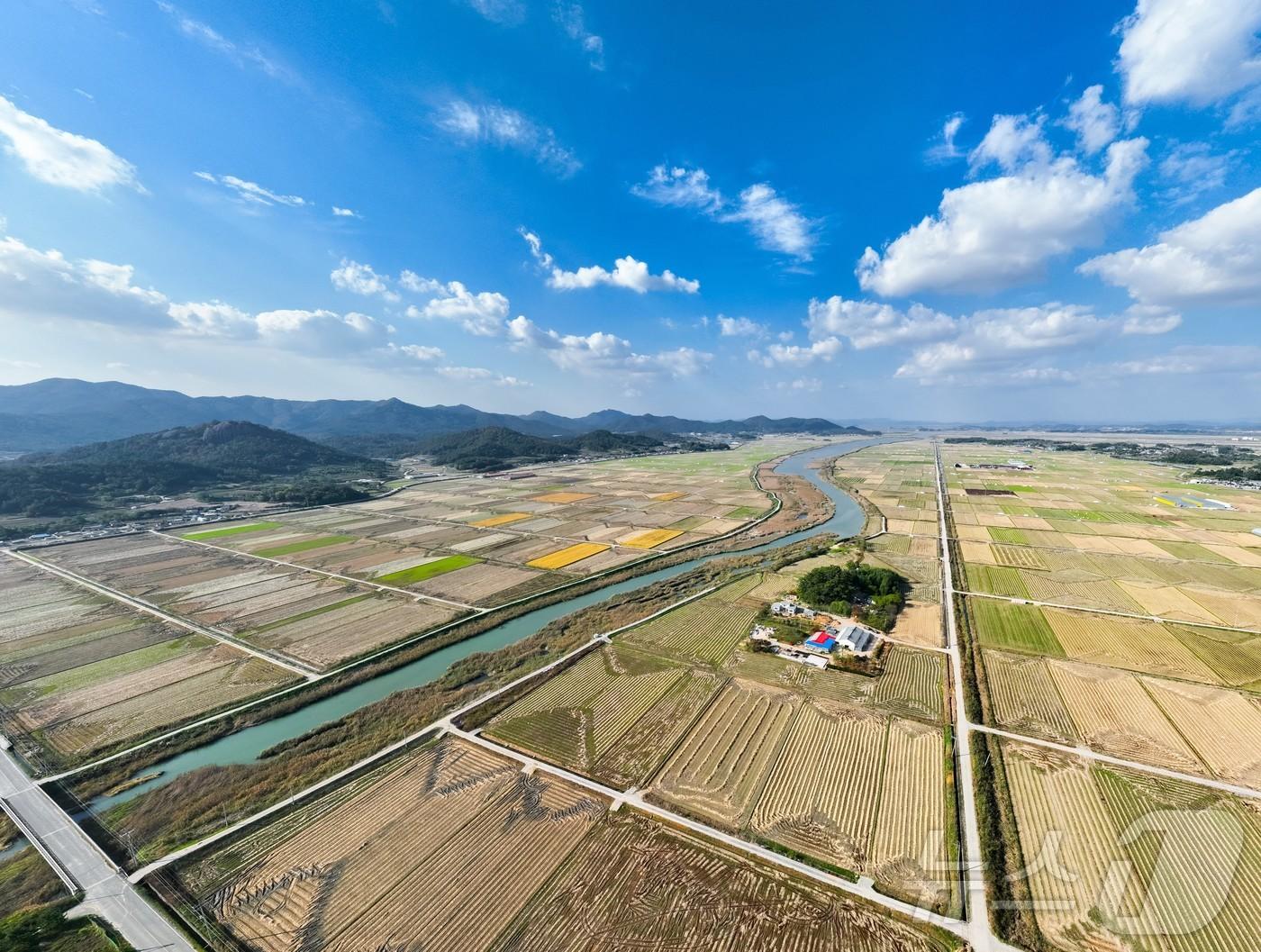 본문 이미지 - 하늘에서 본 영암군 서호면 엄길리 죽도와 서호들판. 죽도는 간척되기 전, 밀물과 썰물이 교차하는 서호강에 자리한 무인도였다 (영암군농촌활성화지원센터 제공. 재판매 및 DB금지) /뉴스1 