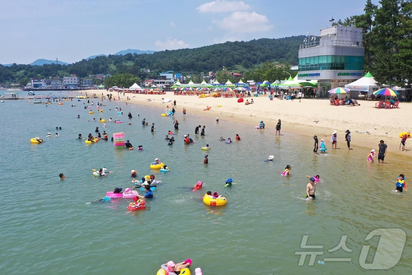 본문 이미지 - 전남 보성 율포솔밭해수욕장 전경.(보성군 제공. 재판매 및 DB 금지) 2025.6.24 ⓒ 뉴스1 