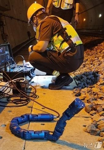 본문 이미지 - 뱀 로봇(국토안전관리원 제공. 재판매 및 DB금지).