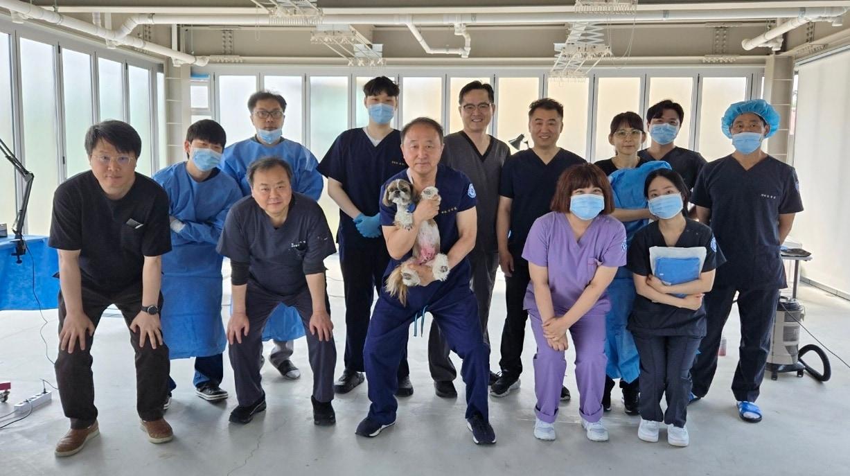 본문 이미지 - 로얄동물메디컬그룹 의료진이 최근 경기도 이천에 위치한 CRK 보호소르 방문해 정기 수의료봉사를 진행했다(CRK 제공). ⓒ 뉴스1