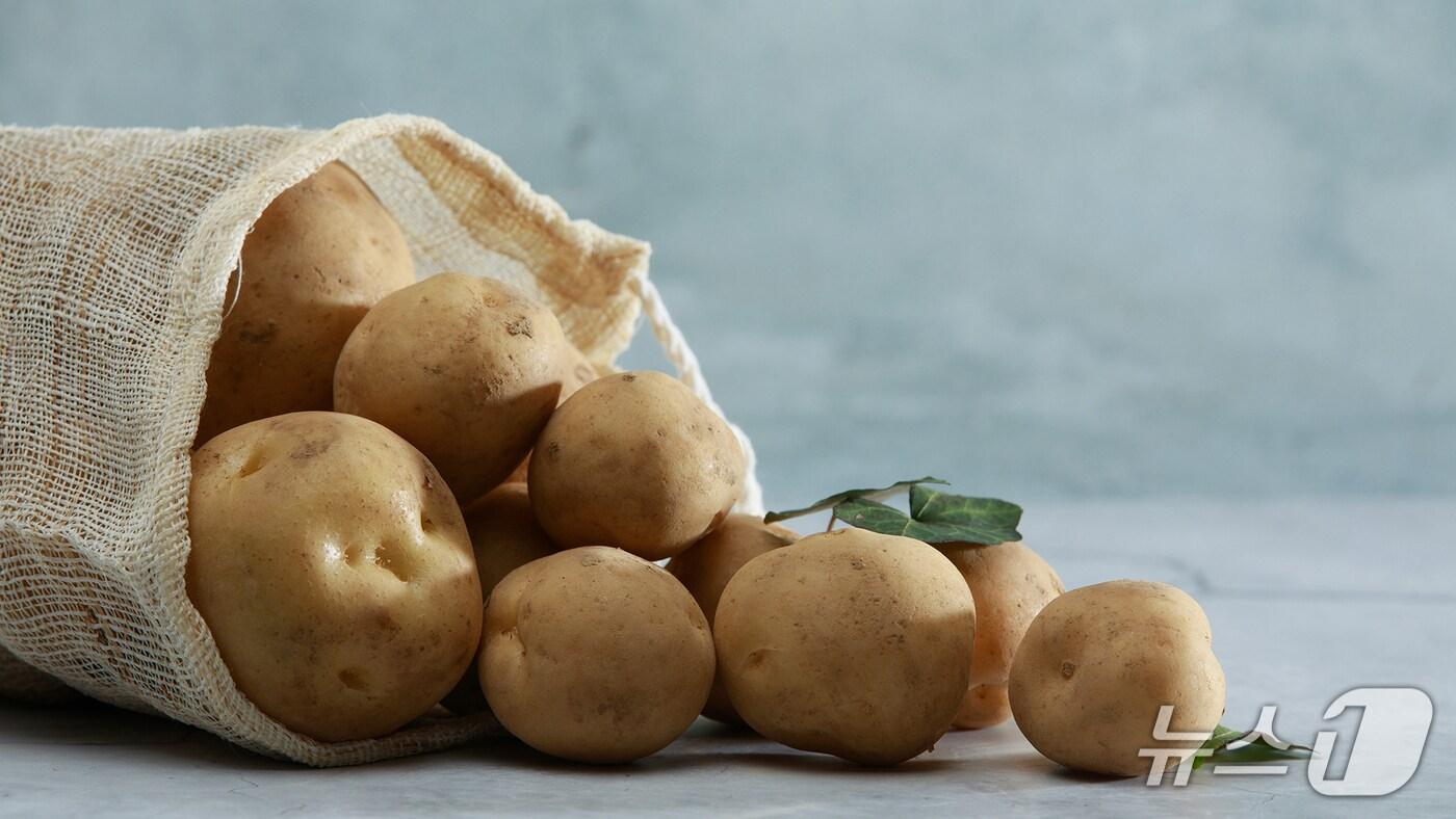 서산감자. (서산시 제공. 재판매 및 DB 금지) 2025.6.25/뉴스1