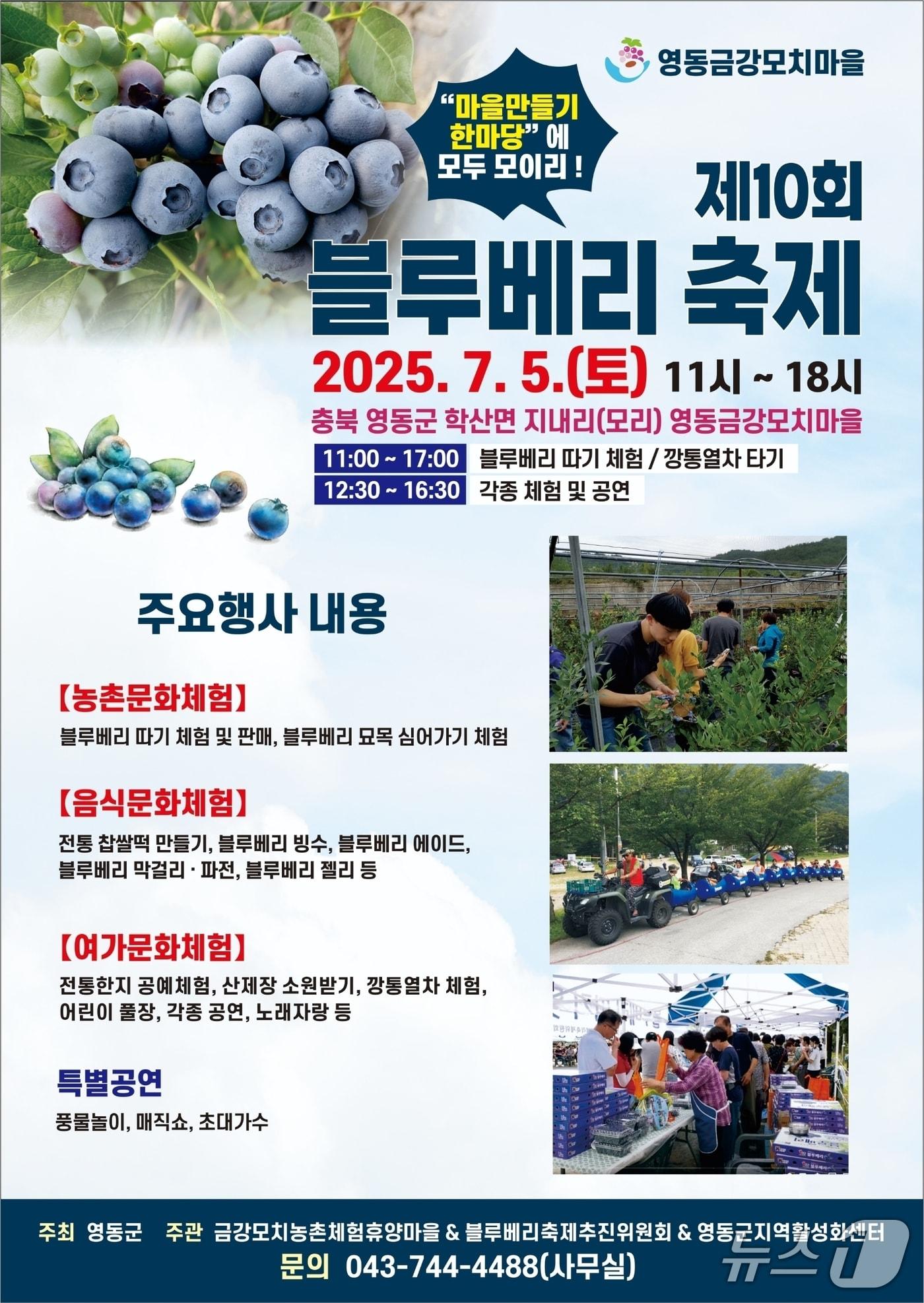 본문 이미지 - 영동군 금강모치마을 블루베리 축제 홍보물 (영동군 제공, 재판매 및 DB금지) /뉴스1