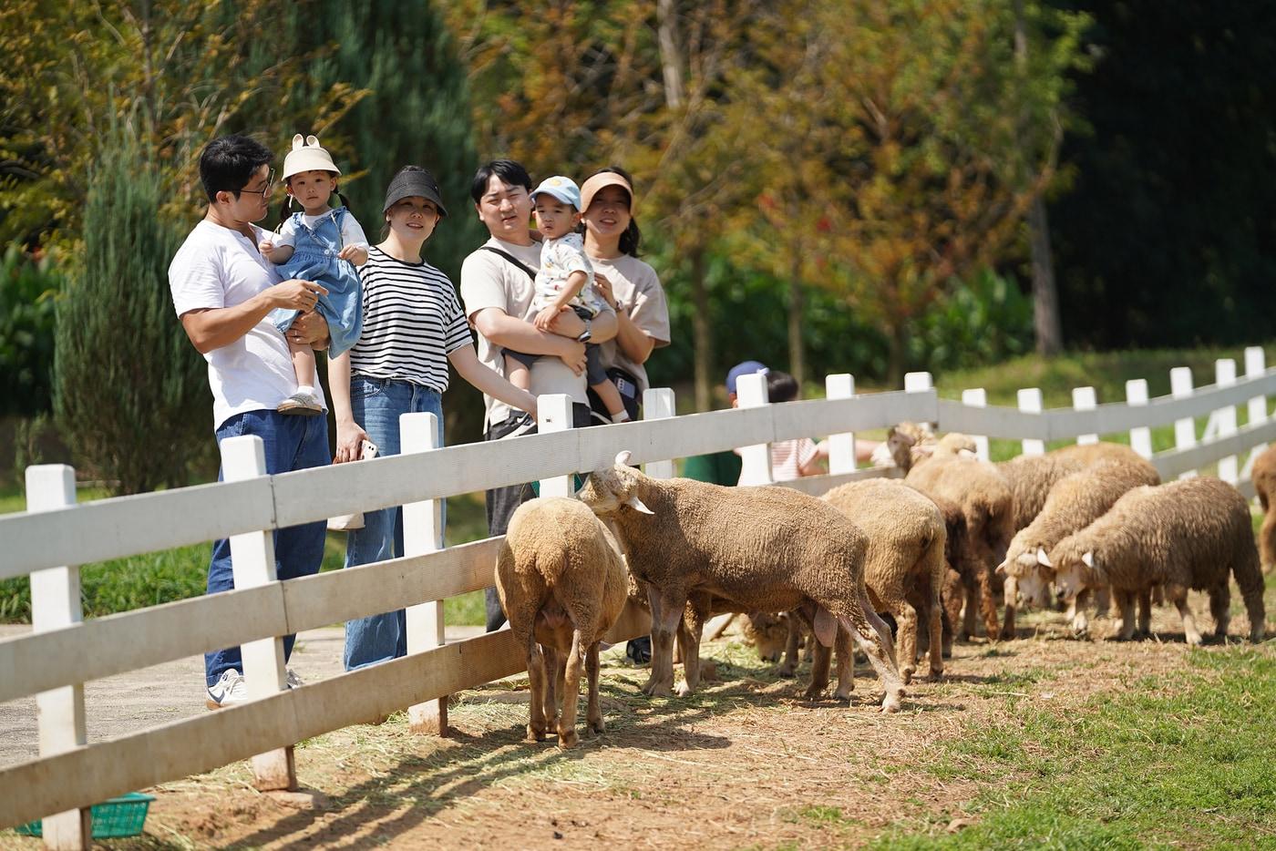 &#40;일양약품 제공&#41;