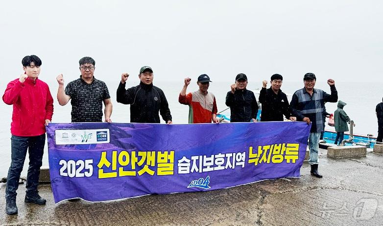 본문 이미지 - 신안군이 신안갯벌에 낙지를 방류했다 &#40;신안군 제공. 재판매 및 DB금지&#41; /뉴스1 
