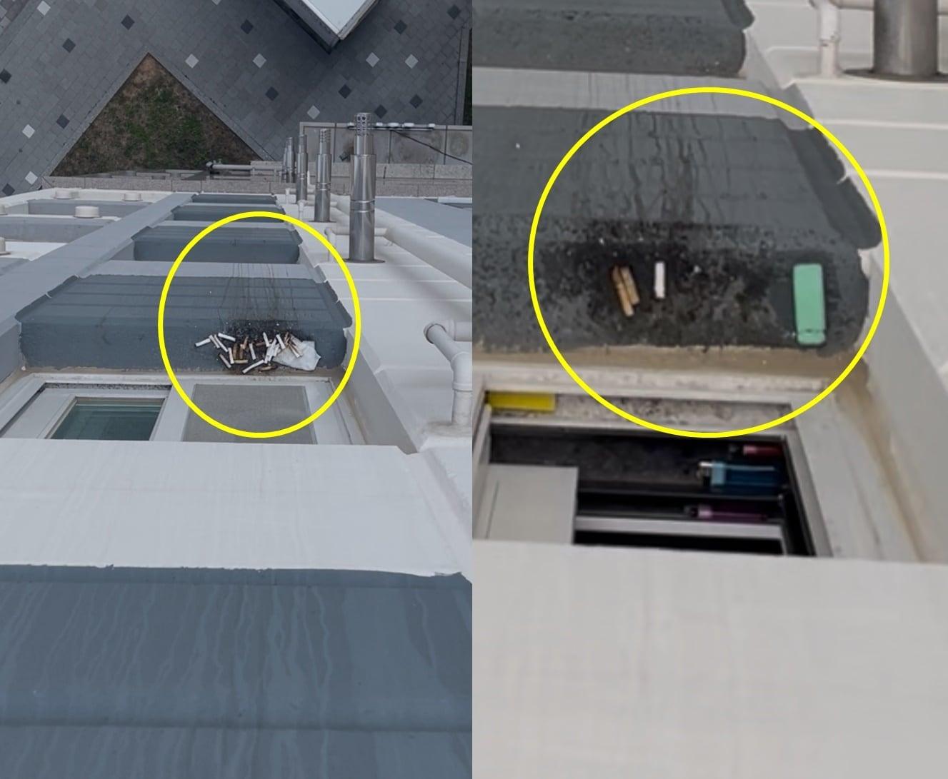 본문 이미지 - (보배드림 갈무리)