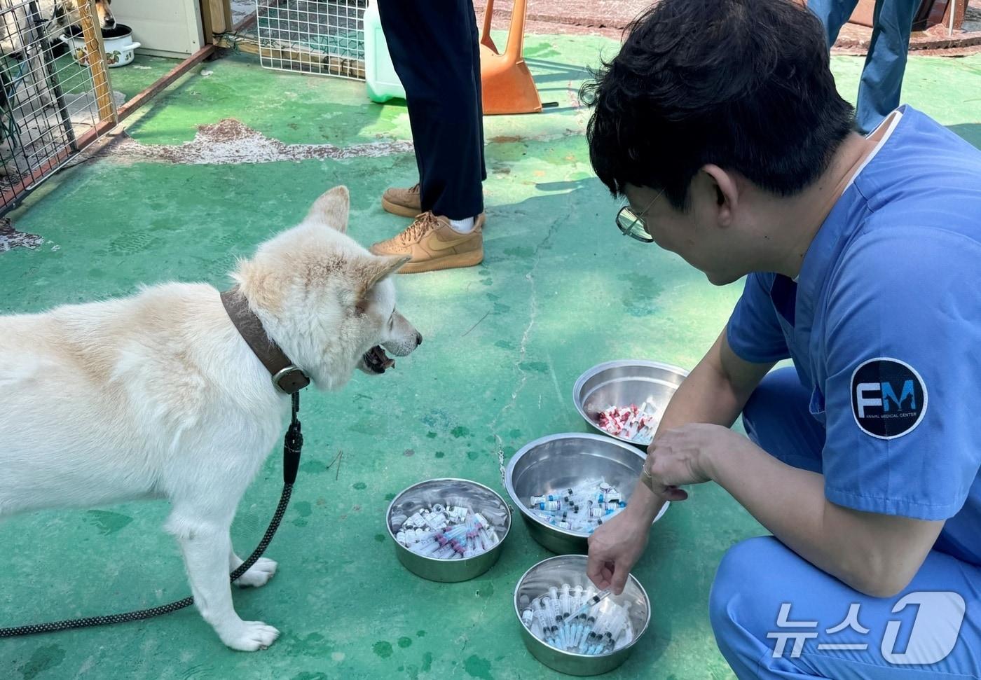 수의사들이 동물보호소에서 봉사를 하고 있다(경기도수의사회 제공) ⓒ 뉴스1