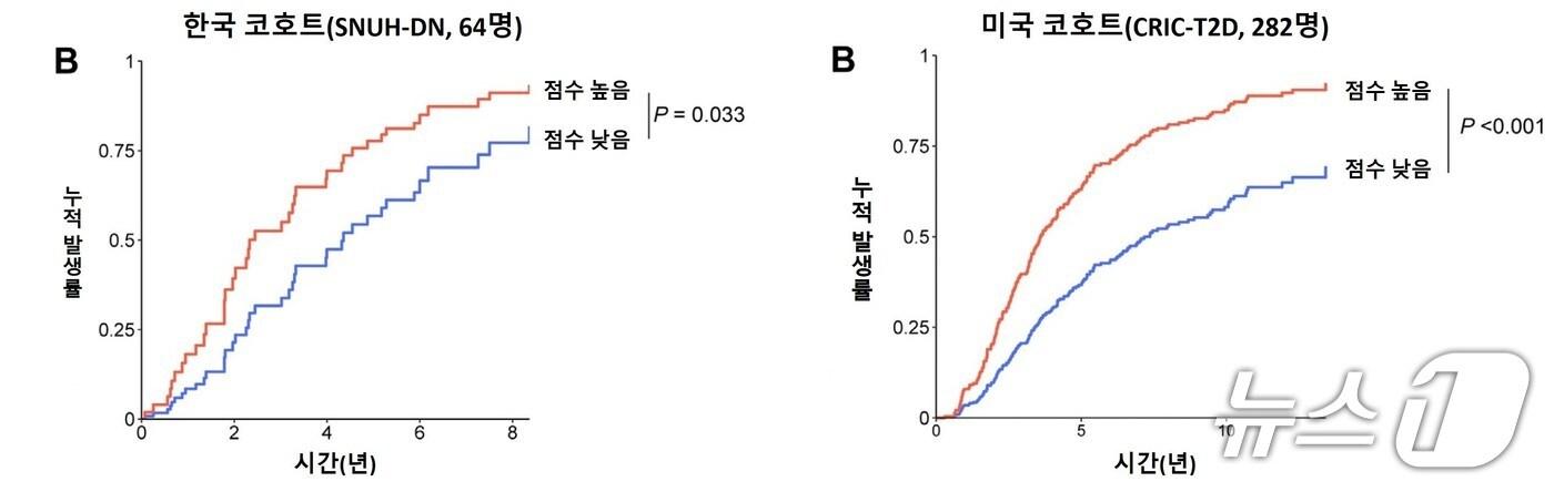 보체 점수에 따른 당뇨병콩팥병의 진행 확률. 다른 임상 변수를 보정했을 때, 보체 점수가 높은 환자는 당뇨병콩팥병이 빠르게 진행될 위험이 2배 이상 높았고, 이 결과는 한국 및 미국 코호트에서 동일했다.(서울대병원 제공)